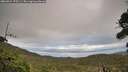 ./images/calvert/fitz-hugh-hecate/20260921/fitz-hugh-hecate20260921_175501M.jpg
