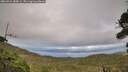 ./images/calvert/fitz-hugh-hecate/20260921/fitz-hugh-hecate20260921_180001M.jpg