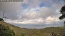 ./images/calvert/fitz-hugh-hecate/20260921/fitz-hugh-hecate20260921_181501M.jpg