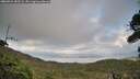 ./images/calvert/fitz-hugh-hecate/20260921/fitz-hugh-hecate20260921_182501M.jpg
