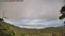 ./images/calvert/fitz-hugh-hecate/20260921/fitz-hugh-hecate20260921_183002M.jpg