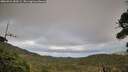 ./images/calvert/fitz-hugh-hecate/20260921/fitz-hugh-hecate20260921_183501M.jpg