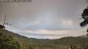 ./images/calvert/fitz-hugh-hecate/20260921/fitz-hugh-hecate20260921_185001M.jpg