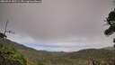 ./images/calvert/fitz-hugh-hecate/20260921/fitz-hugh-hecate20260921_185501M.jpg