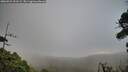 ./images/calvert/fitz-hugh-hecate/20260921/fitz-hugh-hecate20260921_191501M.jpg