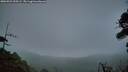 ./images/calvert/fitz-hugh-hecate/20260921/fitz-hugh-hecate20260921_195501M.jpg