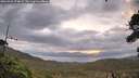 ./images/calvert/fitz-hugh-hecate/20260922/fitz-hugh-hecate20260922_074002M.jpg