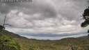 ./images/calvert/fitz-hugh-hecate/20260922/fitz-hugh-hecate20260922_092001M.jpg