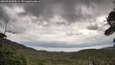 ./images/calvert/fitz-hugh-hecate/20260922/fitz-hugh-hecate20260922_093001M.jpg