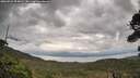 ./images/calvert/fitz-hugh-hecate/20260922/fitz-hugh-hecate20260922_094001M.jpg