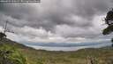 ./images/calvert/fitz-hugh-hecate/20260922/fitz-hugh-hecate20260922_100501M.jpg