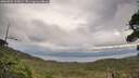 ./images/calvert/fitz-hugh-hecate/20260922/fitz-hugh-hecate20260922_105002M.jpg