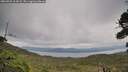 ./images/calvert/fitz-hugh-hecate/20260922/fitz-hugh-hecate20260922_114502M.jpg