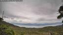 ./images/calvert/fitz-hugh-hecate/20260922/fitz-hugh-hecate20260922_120501M.jpg