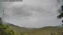 ./images/calvert/fitz-hugh-hecate/20260922/fitz-hugh-hecate20260922_125001M.jpg