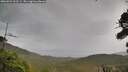 ./images/calvert/fitz-hugh-hecate/20260922/fitz-hugh-hecate20260922_133501M.jpg