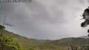 ./images/calvert/fitz-hugh-hecate/20260922/fitz-hugh-hecate20260922_134001M.jpg