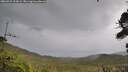 ./images/calvert/fitz-hugh-hecate/20260922/fitz-hugh-hecate20260922_134501M.jpg