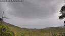 ./images/calvert/fitz-hugh-hecate/20260922/fitz-hugh-hecate20260922_135001M.jpg