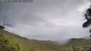 ./images/calvert/fitz-hugh-hecate/20260922/fitz-hugh-hecate20260922_144501M.jpg