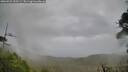 ./images/calvert/fitz-hugh-hecate/20260922/fitz-hugh-hecate20260922_152501M.jpg