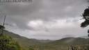./images/calvert/fitz-hugh-hecate/20260922/fitz-hugh-hecate20260922_154001M.jpg