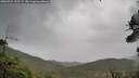 ./images/calvert/fitz-hugh-hecate/20260922/fitz-hugh-hecate20260922_155501M.jpg