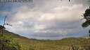 ./images/calvert/fitz-hugh-hecate/20260922/fitz-hugh-hecate20260922_173001M.jpg