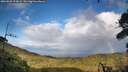 ./images/calvert/fitz-hugh-hecate/20260922/fitz-hugh-hecate20260922_174501M.jpg