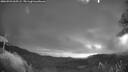 ./images/calvert/fitz-hugh-hecate/20260923/fitz-hugh-hecate20260923_065501M.jpg