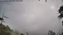 ./images/calvert/fitz-hugh-hecate/20260923/fitz-hugh-hecate20260923_102002M.jpg