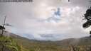 ./images/calvert/fitz-hugh-hecate/20260923/fitz-hugh-hecate20260923_112501M.jpg