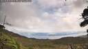 ./images/calvert/fitz-hugh-hecate/20260923/fitz-hugh-hecate20260923_113501M.jpg