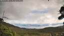 ./images/calvert/fitz-hugh-hecate/20260923/fitz-hugh-hecate20260923_114001M.jpg