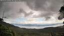 ./images/calvert/fitz-hugh-hecate/20260923/fitz-hugh-hecate20260923_115501M.jpg