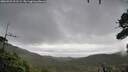 ./images/calvert/fitz-hugh-hecate/20260923/fitz-hugh-hecate20260923_121502M.jpg
