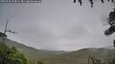 ./images/calvert/fitz-hugh-hecate/20260923/fitz-hugh-hecate20260923_124001M.jpg