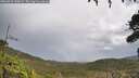 ./images/calvert/fitz-hugh-hecate/20260923/fitz-hugh-hecate20260923_130001M.jpg