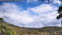 ./images/calvert/fitz-hugh-hecate/20260923/fitz-hugh-hecate20260923_131501M.jpg