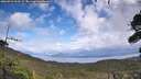 ./images/calvert/fitz-hugh-hecate/20260923/fitz-hugh-hecate20260923_134501M.jpg