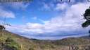 ./images/calvert/fitz-hugh-hecate/20260923/fitz-hugh-hecate20260923_140001M.jpg