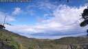 ./images/calvert/fitz-hugh-hecate/20260923/fitz-hugh-hecate20260923_140501M.jpg