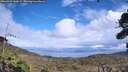 ./images/calvert/fitz-hugh-hecate/20260923/fitz-hugh-hecate20260923_143001M.jpg