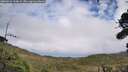./images/calvert/fitz-hugh-hecate/20260923/fitz-hugh-hecate20260923_144001M.jpg