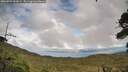 ./images/calvert/fitz-hugh-hecate/20260923/fitz-hugh-hecate20260923_155002M.jpg