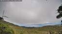 ./images/calvert/fitz-hugh-hecate/20260923/fitz-hugh-hecate20260923_160001M.jpg