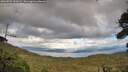 ./images/calvert/fitz-hugh-hecate/20260923/fitz-hugh-hecate20260923_164501M.jpg