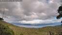 ./images/calvert/fitz-hugh-hecate/20260923/fitz-hugh-hecate20260923_165001M.jpg