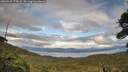./images/calvert/fitz-hugh-hecate/20260923/fitz-hugh-hecate20260923_173502M.jpg