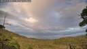 ./images/calvert/fitz-hugh-hecate/20260923/fitz-hugh-hecate20260923_185001M.jpg